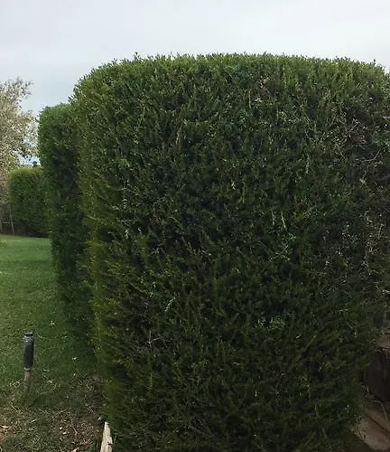 Casa Vacanze Sant'Antioco *